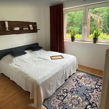 Haus Wiesengrund Винтерберг Экстерьер фото